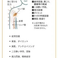 画像285